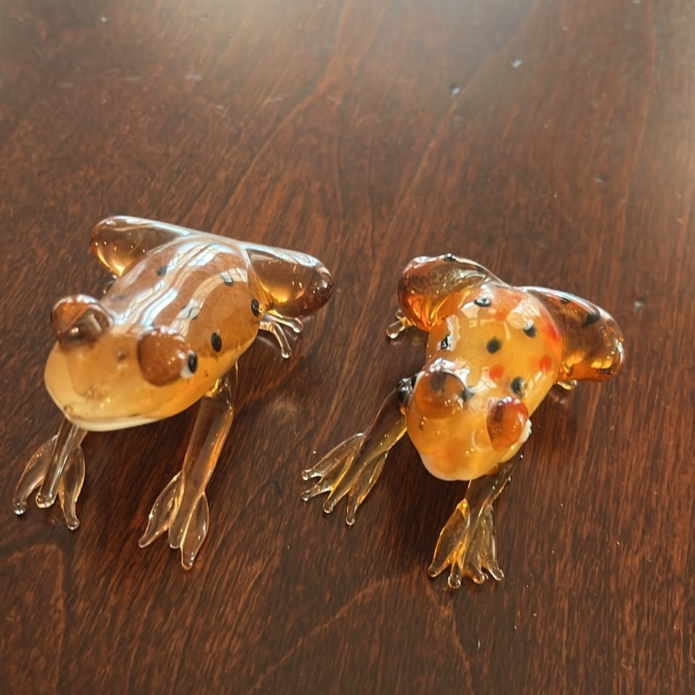 Bundle of two glass frogs